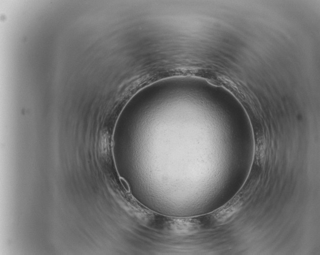 X0000086930623200704231332