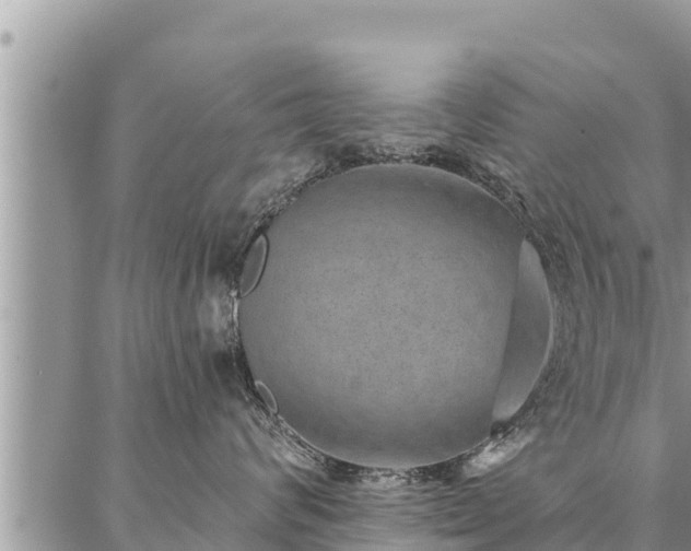 X0000086930624200704231332