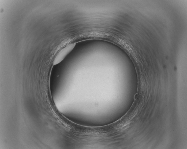 X0000086930625200704231331