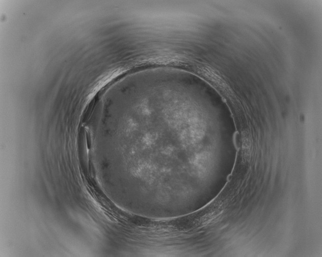 X0000086930626200704231331