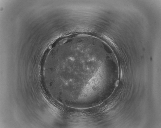 X0000086930627200704231331