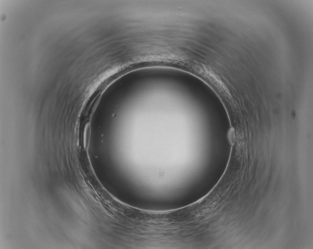 X0000086930628200704231331