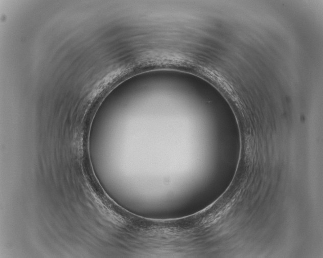 X0000086930629200704231331