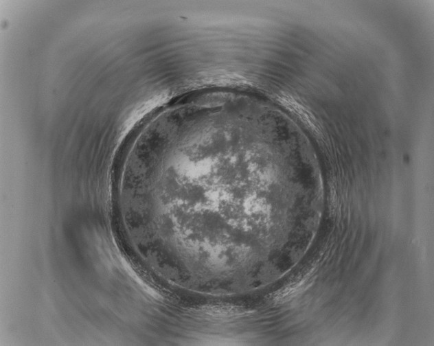 X0000086930630200704231331