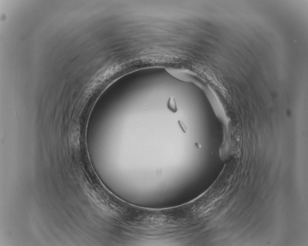 X0000086930631200704231331