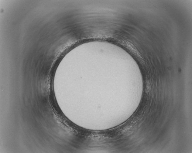 X0000086930632200704231331