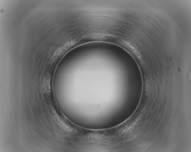 X0000086930633200704231331