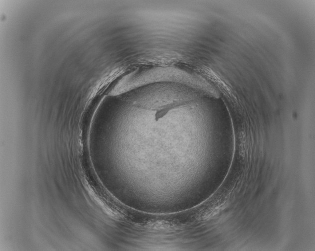 X0000086930634200704231331