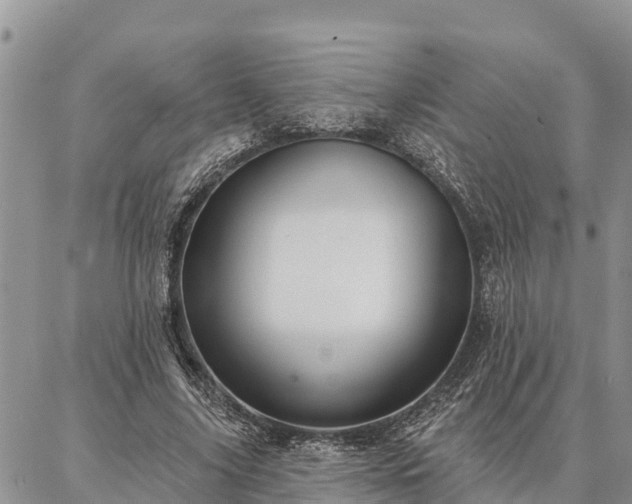 X0000086930635200704231331