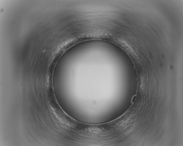 X0000086930636200704231331