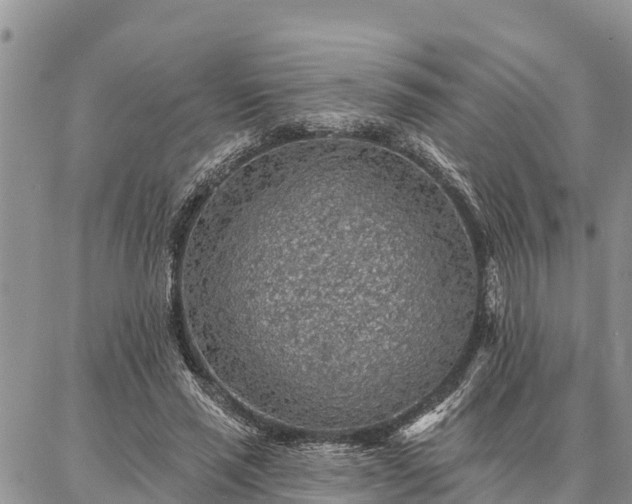 X0000086930637200704231331