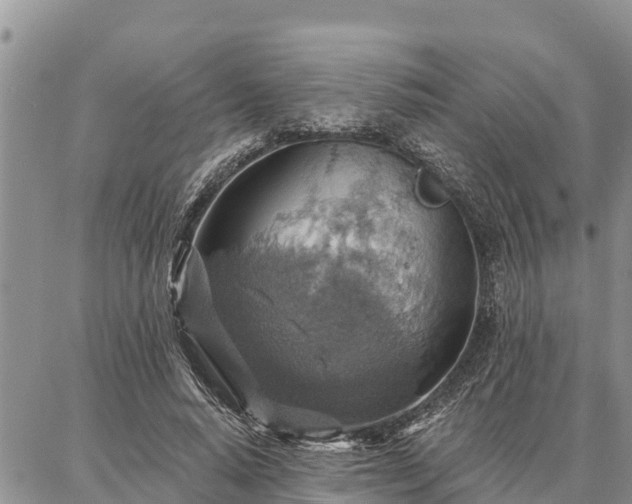 X0000086930640200704231331