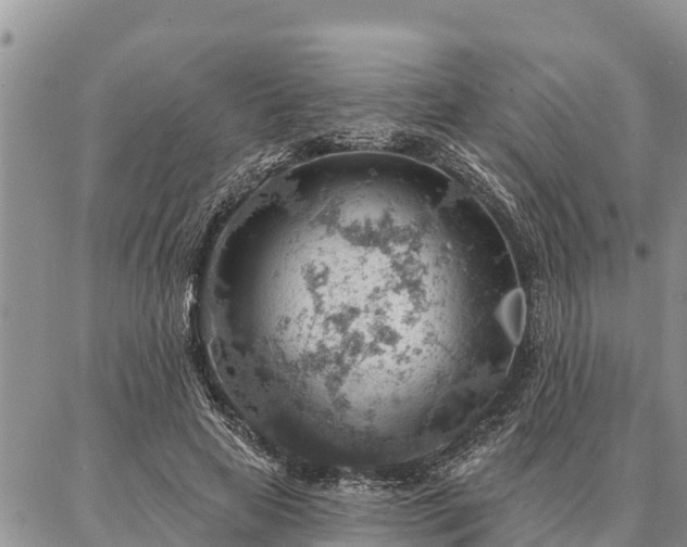 X0000086930641200704231331