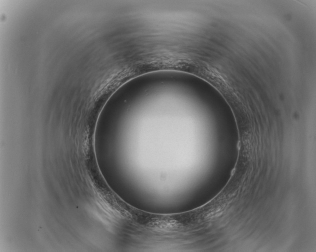 X0000086930642200704231331