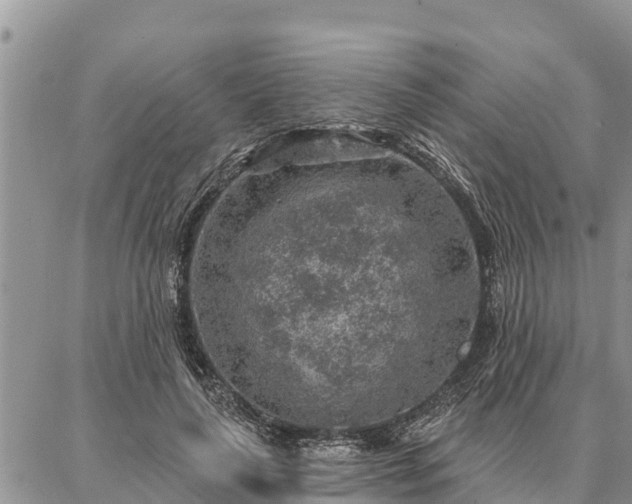 X0000086930643200704231331