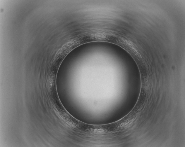 X0000086930645200704231331