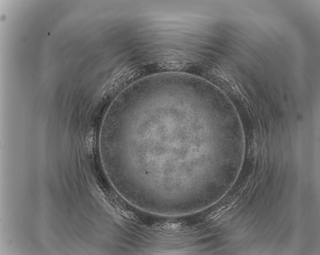 X0000086930647200704231331