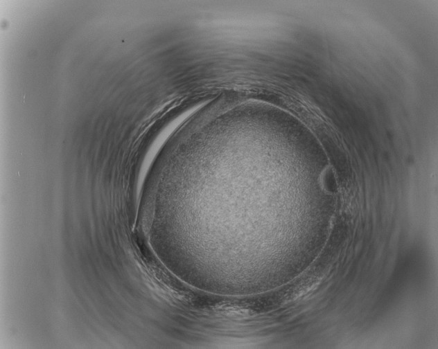 X0000086930648200704231331