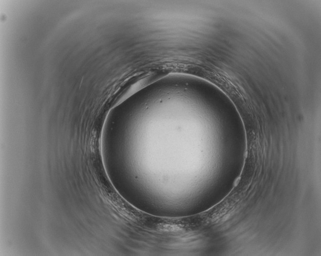 X0000086930649200704231331