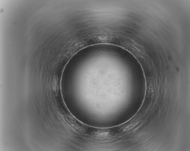 X0000086930651200704231331