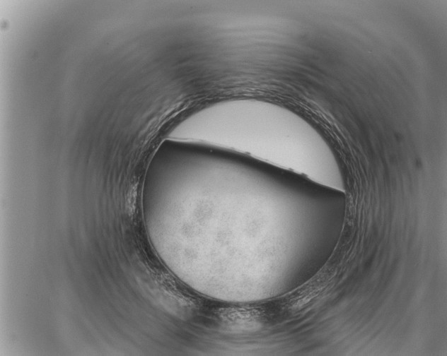 X0000086930652200704231331