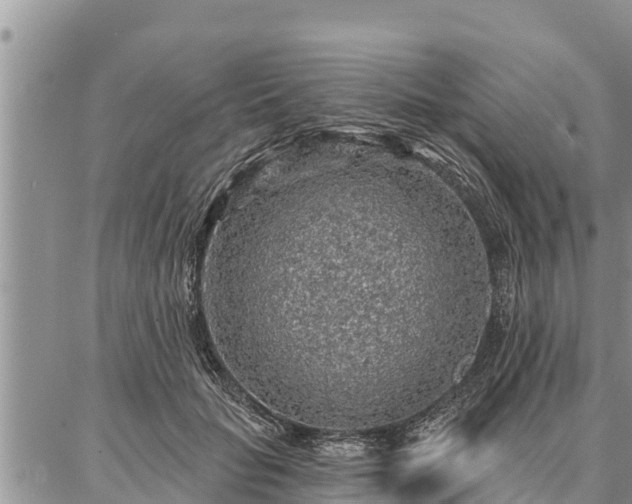 X0000086930653200704231331