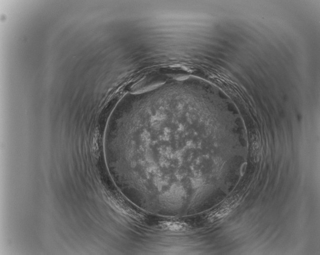 X0000086930654200704231331