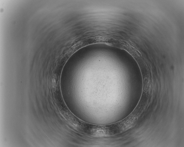 X0000086930655200704231331