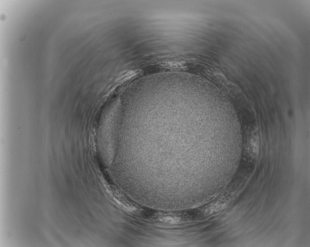 X0000086930658200704231331