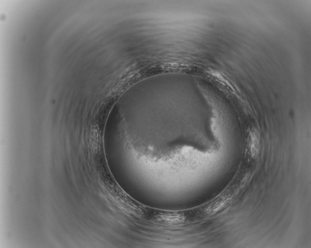 X0000086930659200704231332