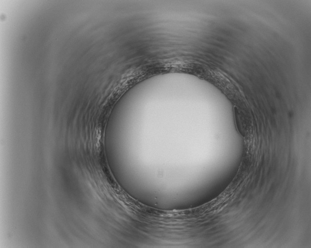 X0000086930660200704231332