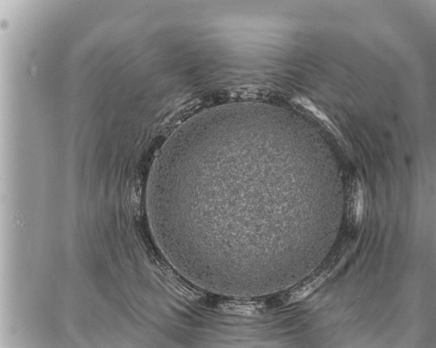 X0000086930661200704231332