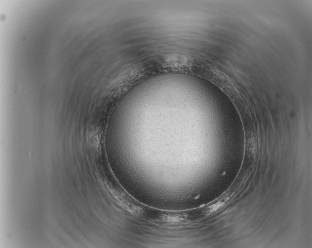 X0000086930662200704231332