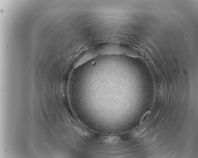 X0000086930663200704231332