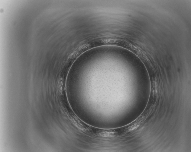 X0000086930664200704231332