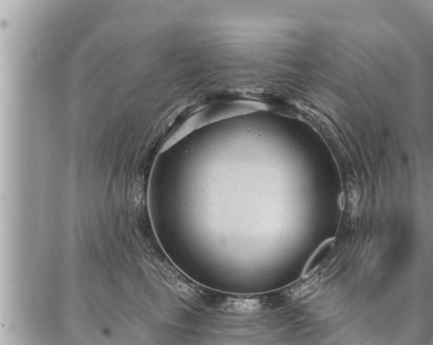 X0000086930665200704231332