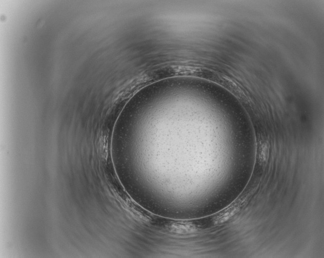 X0000086930666200704231332