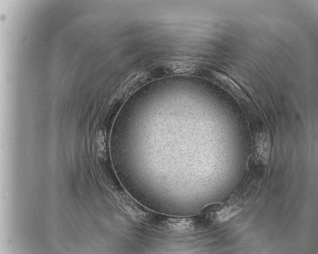 X0000086930667200704231332