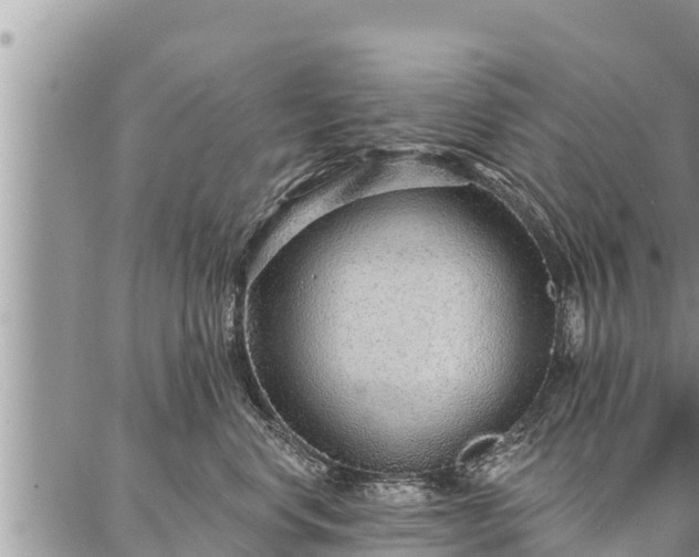 X0000086930668200704231332