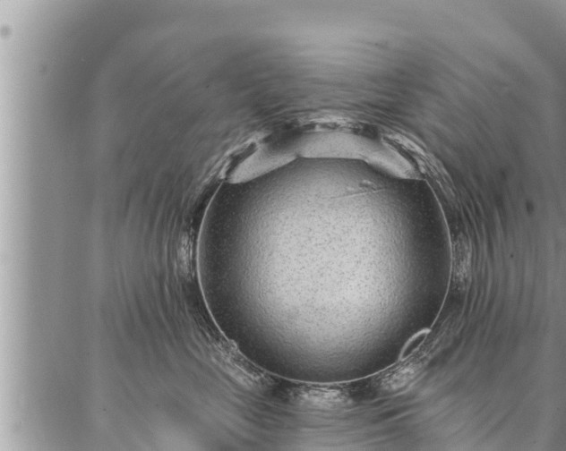 X0000086930669200704231332