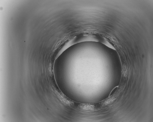 X0000086930670200704231332