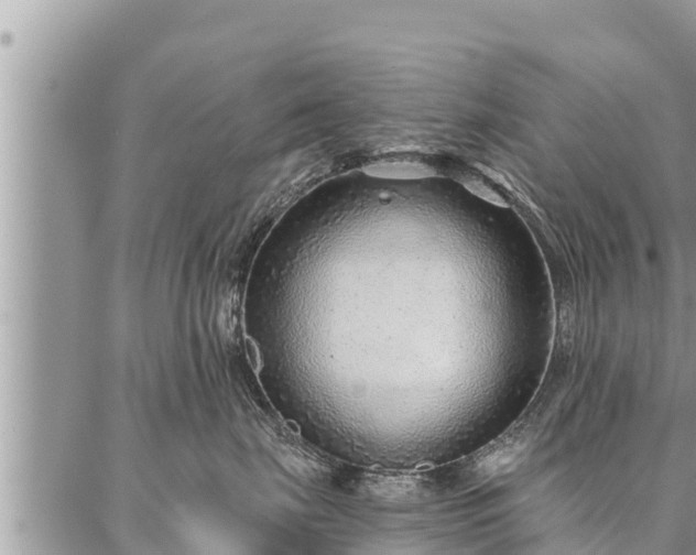 X0000086930671200704231332