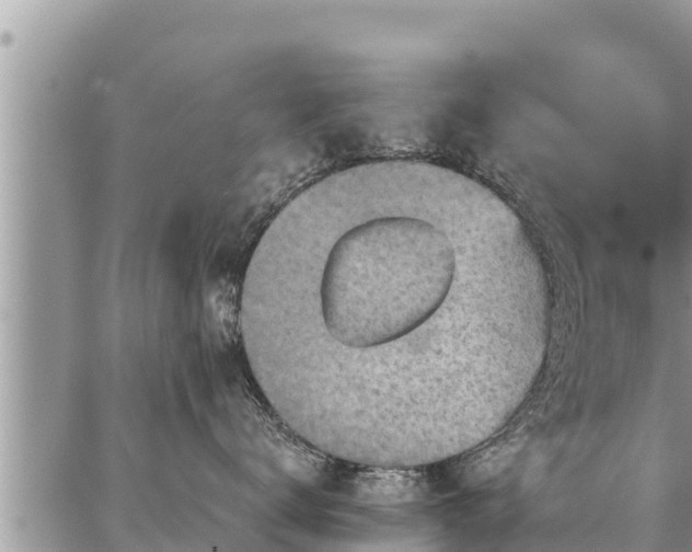 X0000086930672200704231332