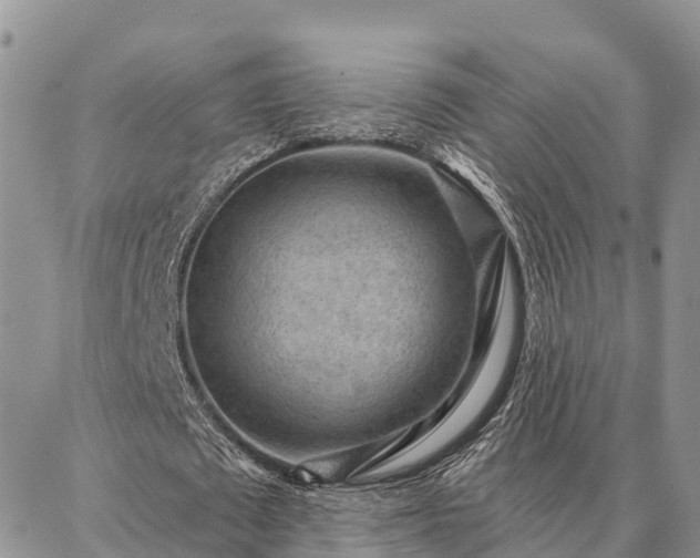 X0000086930673200704231331