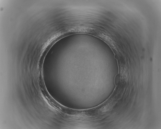 X0000086930674200704231331