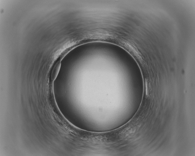 X0000086930675200704231331