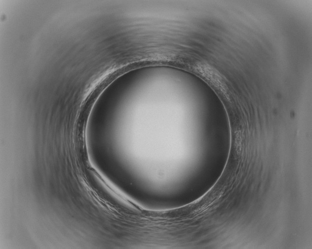 X0000086930676200704231331