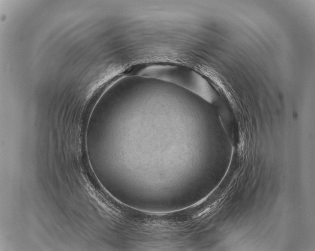 X0000086930677200704231331