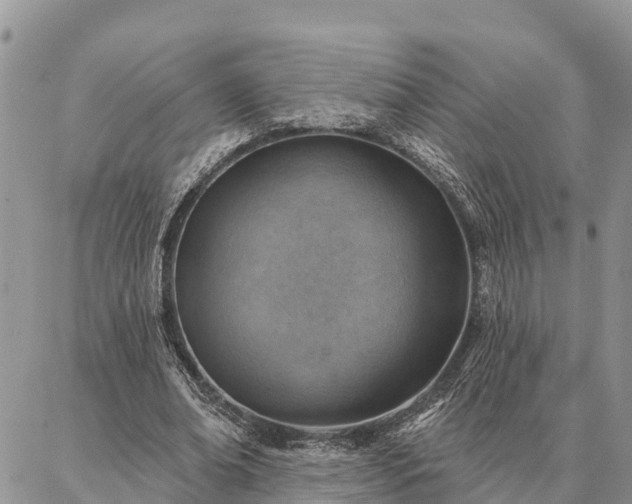 X0000086930678200704231331