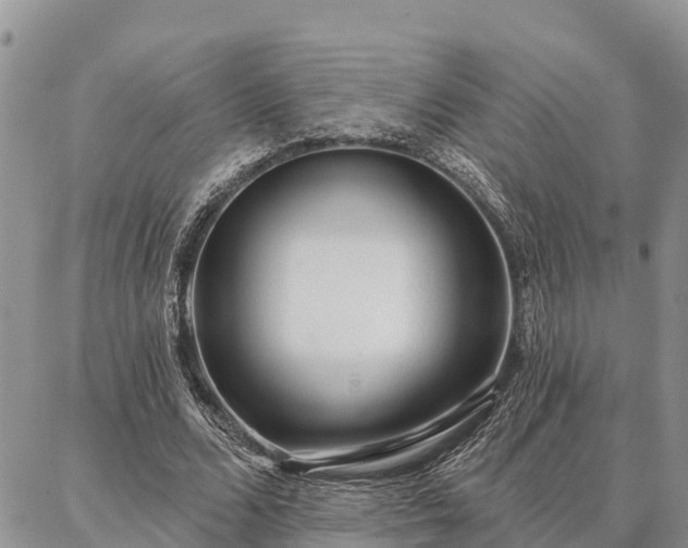 X0000086930680200704231331